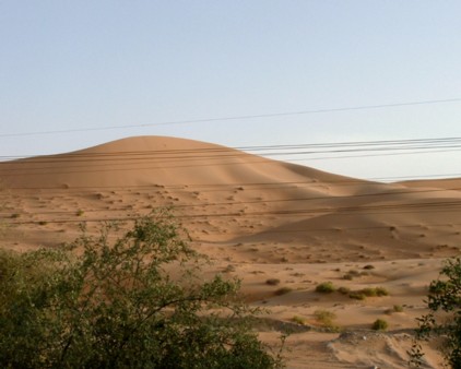 DSCF0011