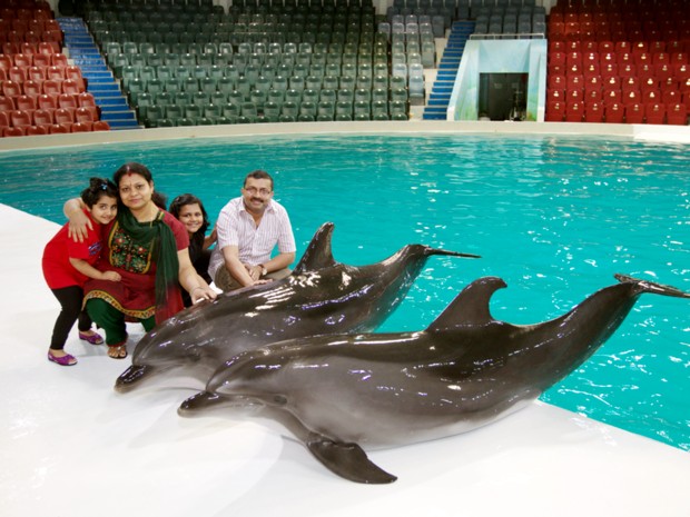 Dolphin SHow