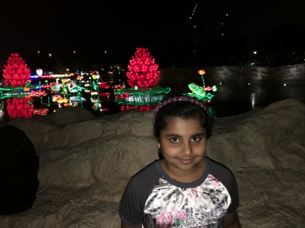 Dubai Garden Glow