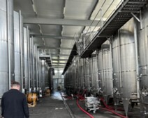 20230625_111702270_iOS