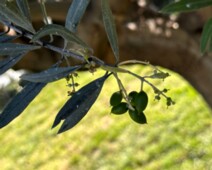 20230626_141157990_iOS