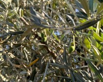 20230626_141239116_iOS