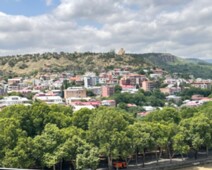 20230629_074323624_iOS