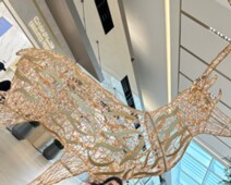 20231209_091404171_iOS