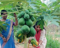 20250501_162945000_iOS