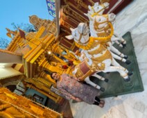 20250222_130739491_iOS